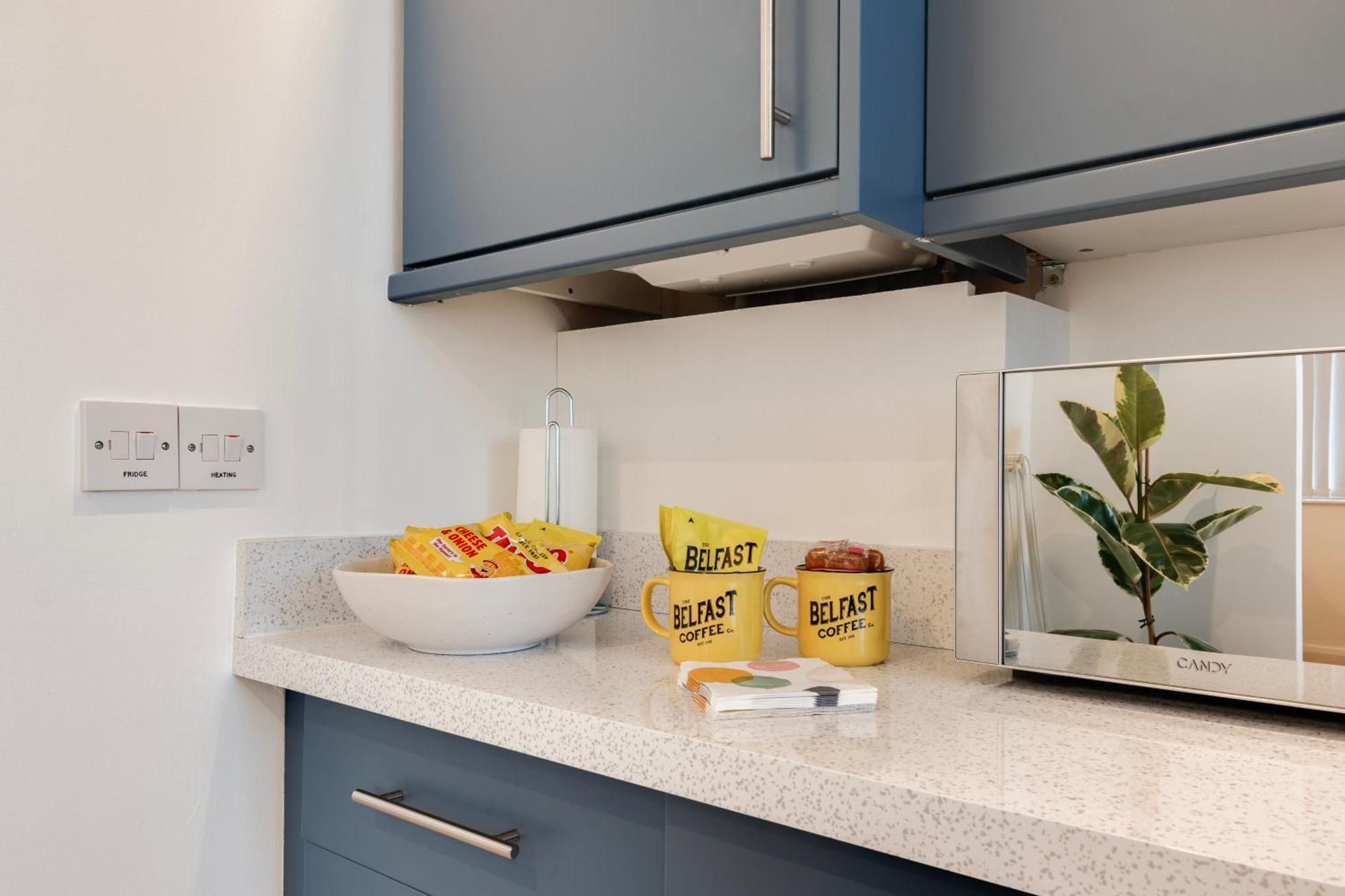 Cherryville Street Apartment Belfast Zewnętrze zdjęcie
